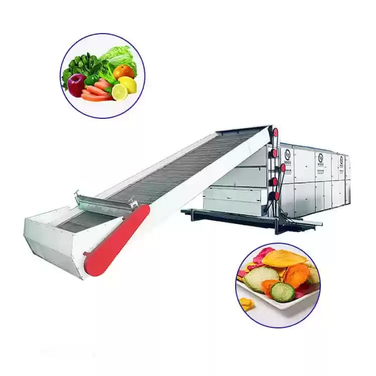 vegetable continuous mesh belt dryer